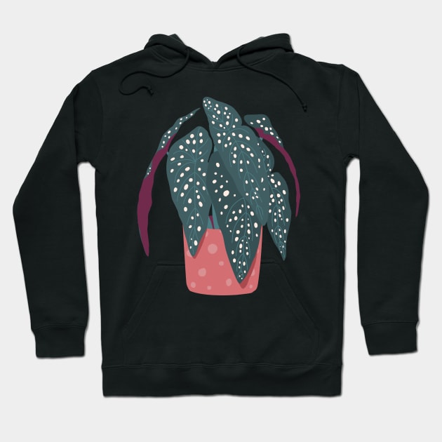 Begonia Maculata - Polka Dot Plant Hoodie by The3rdMeow